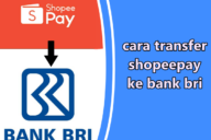 Cara Transfer ShopeePay Ke Bank BRI